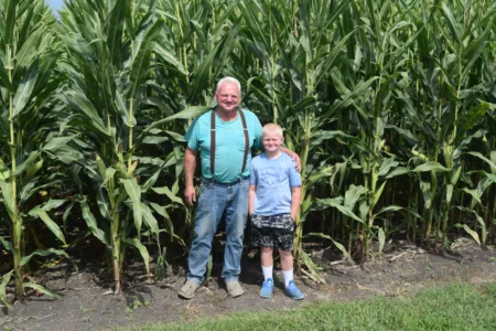 Corn and soybeans turning good crop